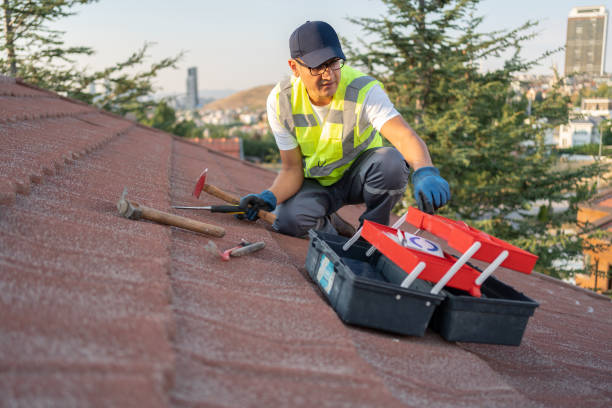 Best Storm Damage Siding Repair  in Auburn, ME